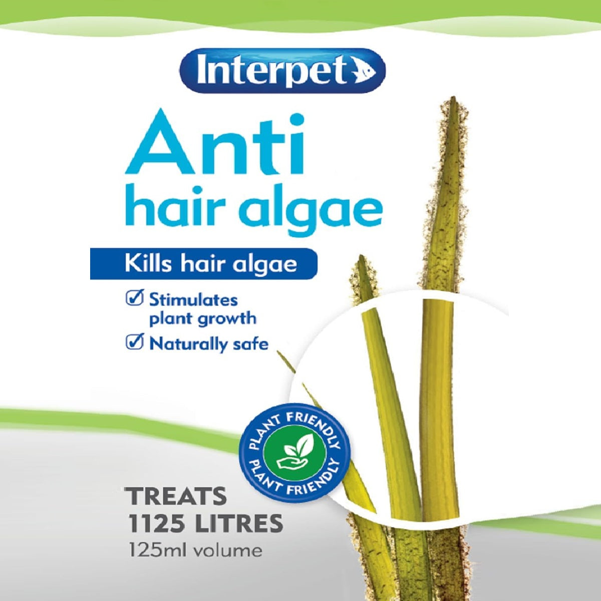 Interpet - Anti Hair Algae (125ml)