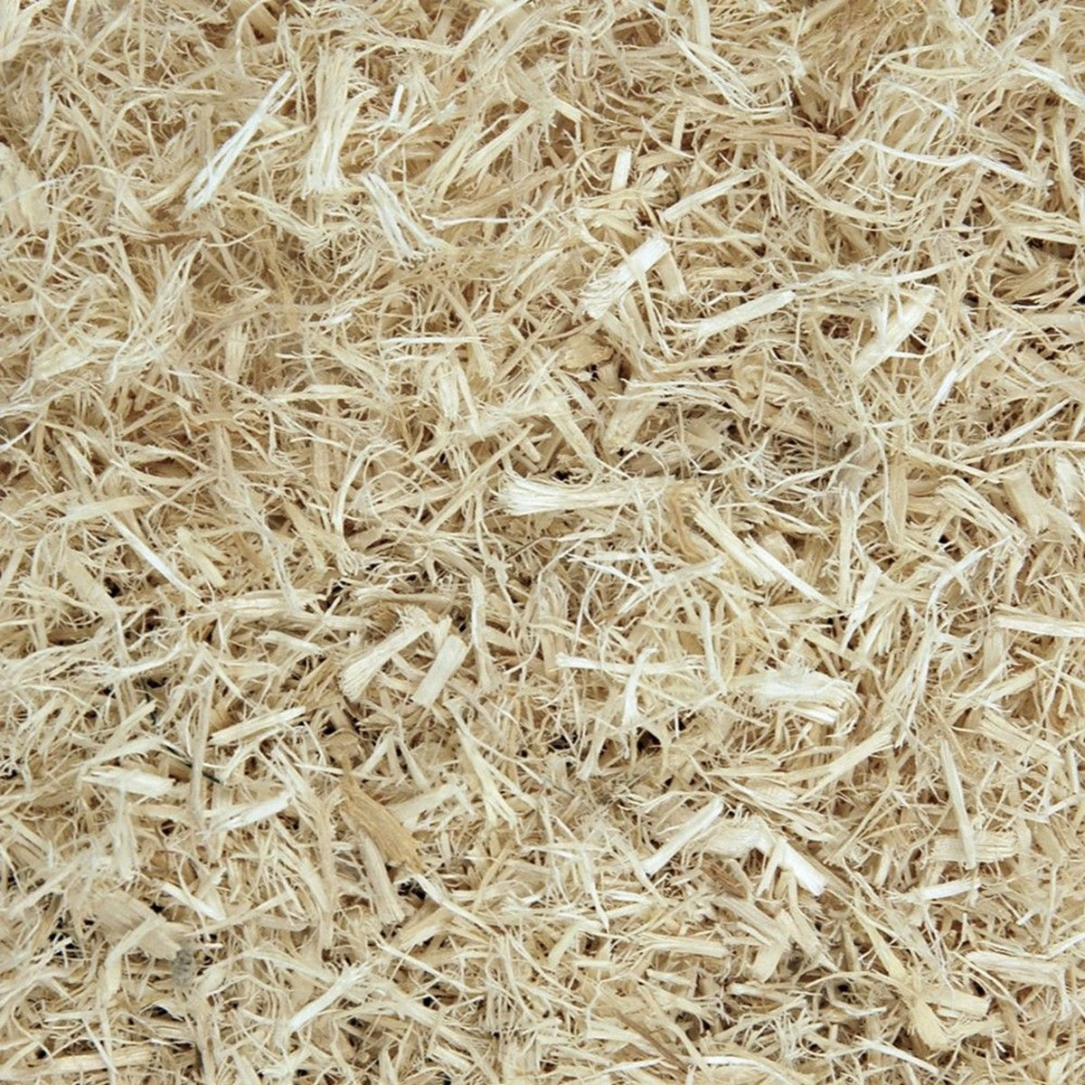 Komodo - Aspen Bed Terrain (6L)
