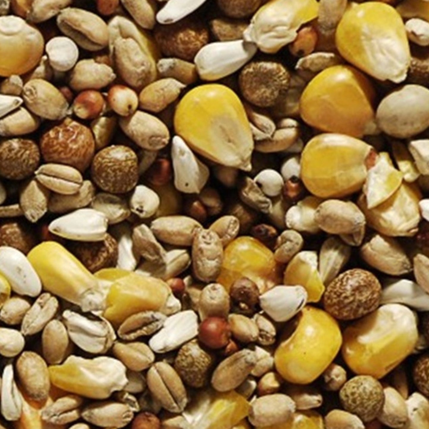 Bucktons - Pigeon Best All Round (20kg)