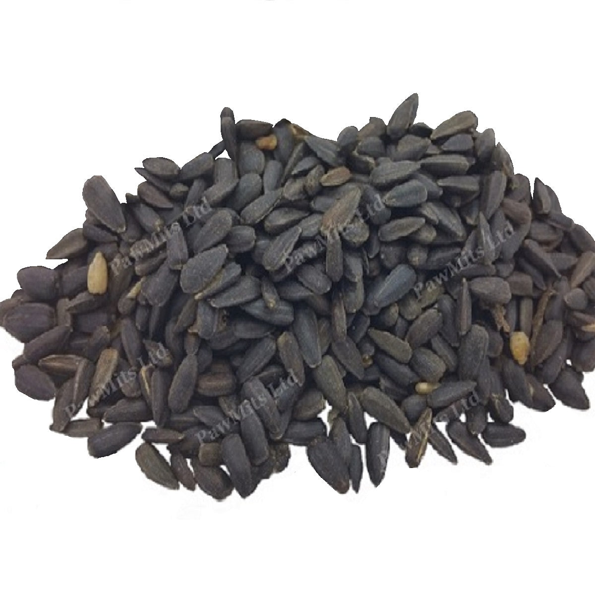 Johnston & Jeff - Black Sunflower Seed