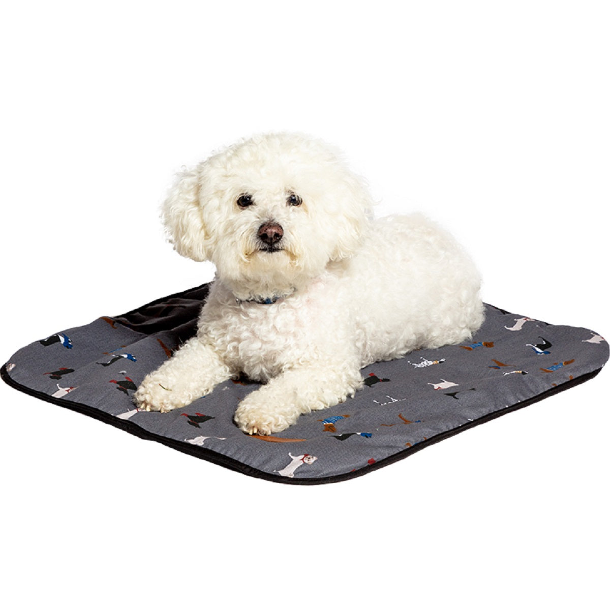 FATFACE - Marching Dogs Blanket