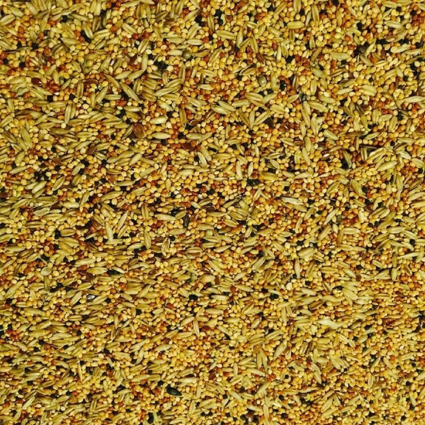Bucktons - Budgie Tonic Food (12.75kg)