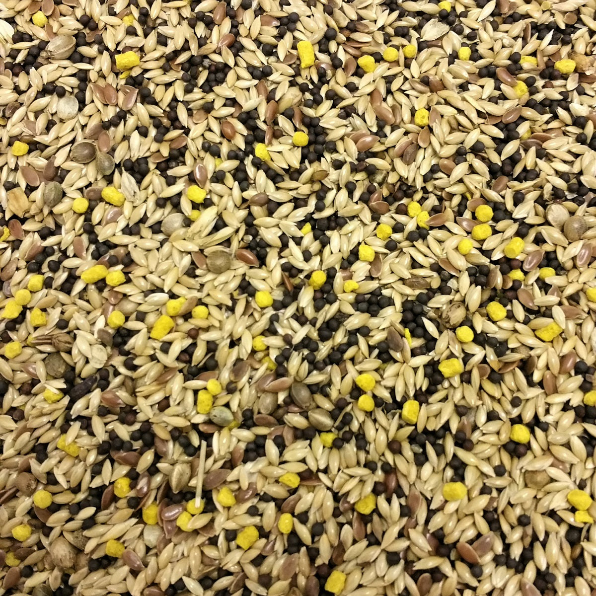 BestPets - Mixed Canary Seed (20kg)