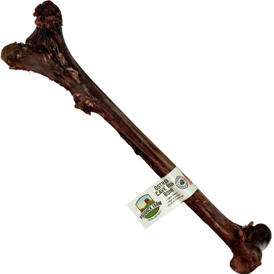 Paddock Farm - Ostrich Caveman Bone