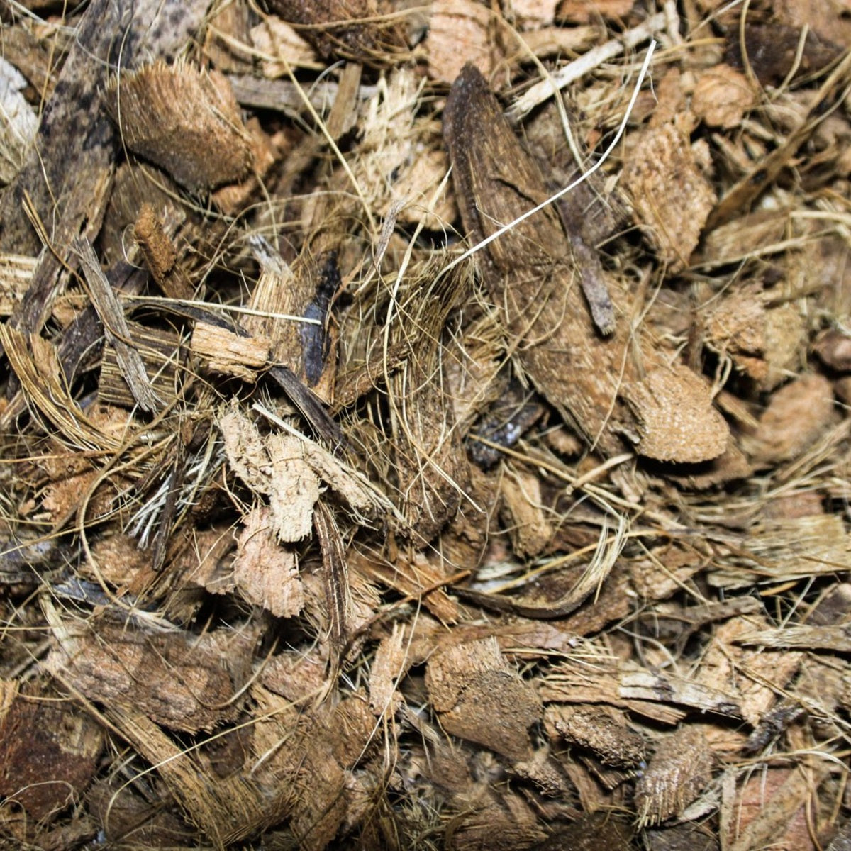 Pettex - Coco Fibre Reptile Substrate (10L)