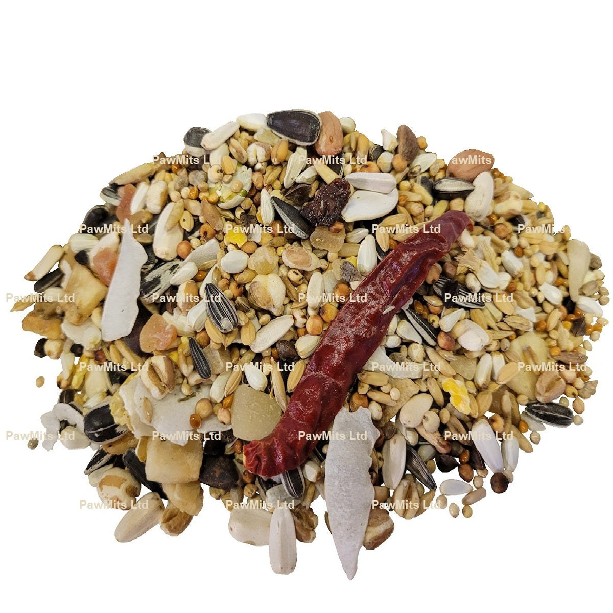 Johnston & Jeff - Premium Conure Mix