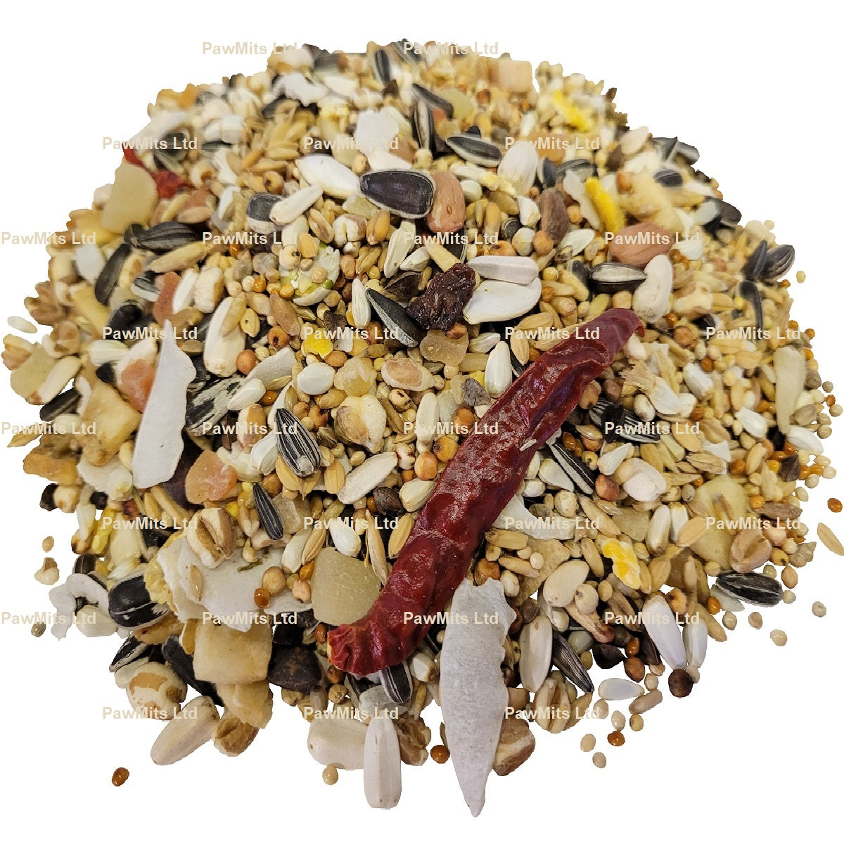 Johnston & Jeff - Premium Conure Mix