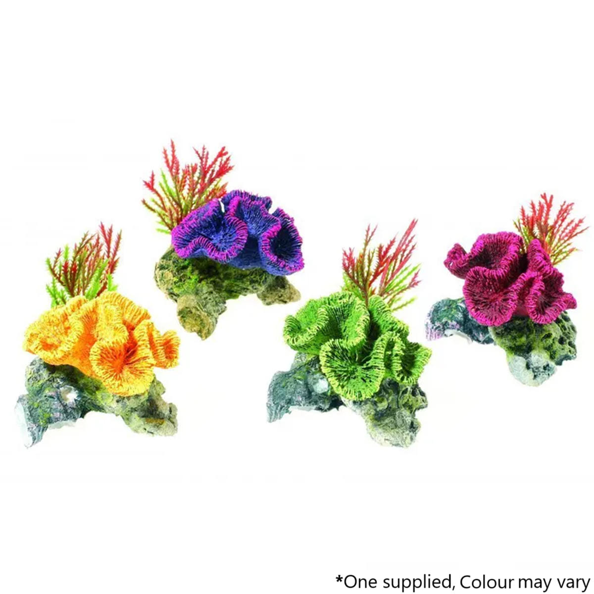 Classic - Coral on Rock (8.5cm)