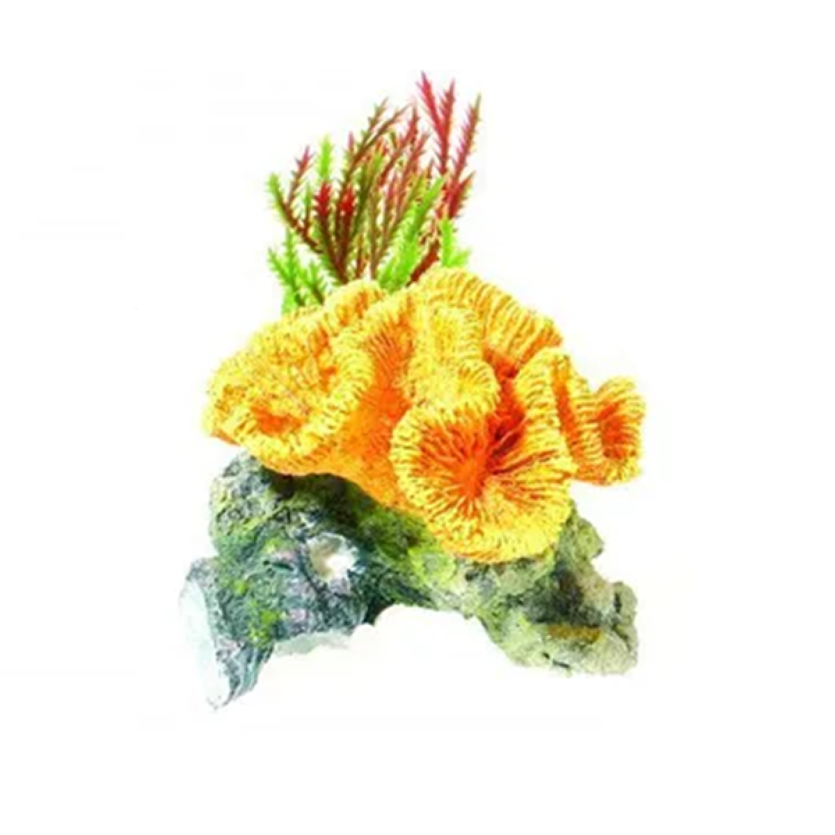 Classic - Coral on Rock (8.5cm)