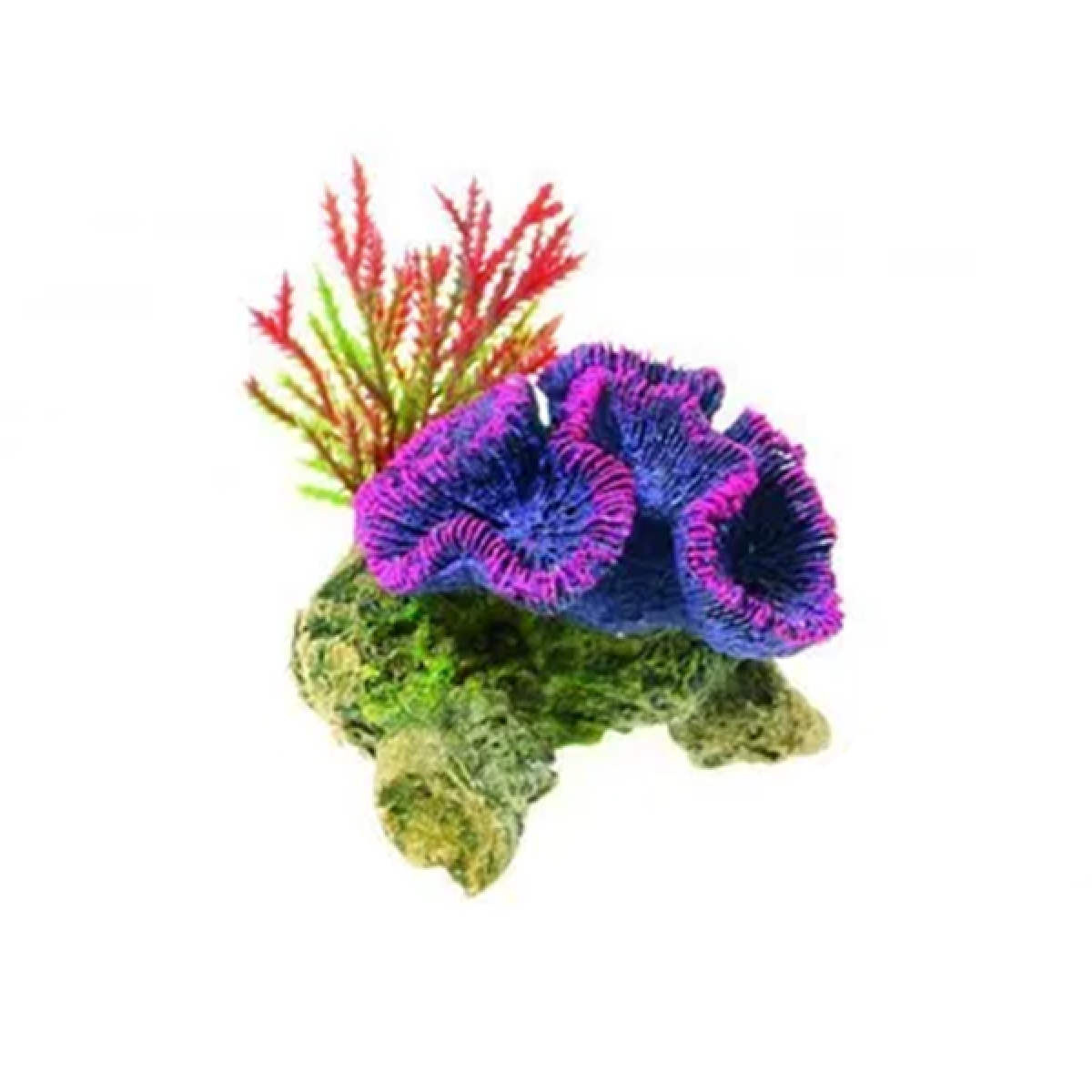 Classic - Coral on Rock (8.5cm)