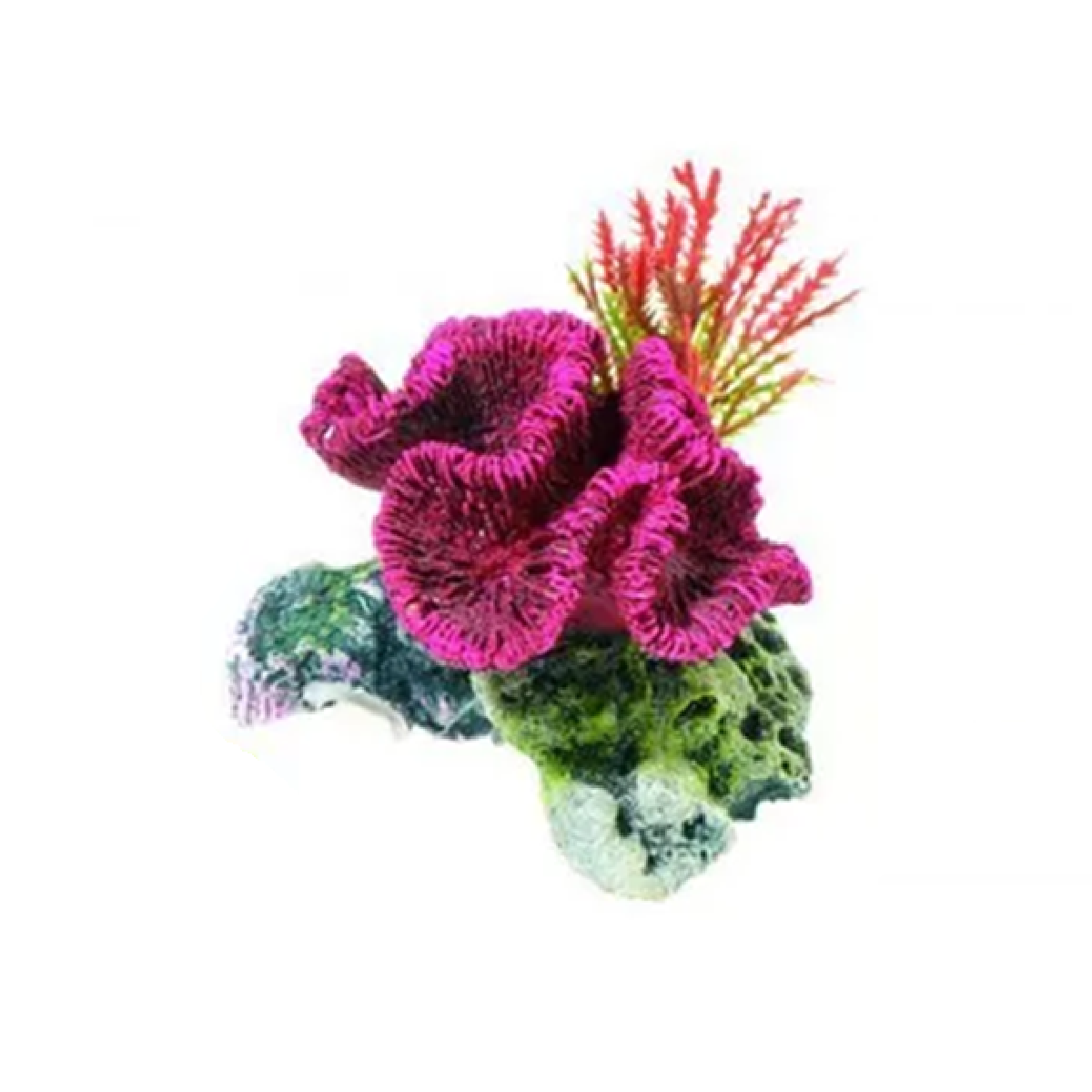 Classic - Coral on Rock (8.5cm)