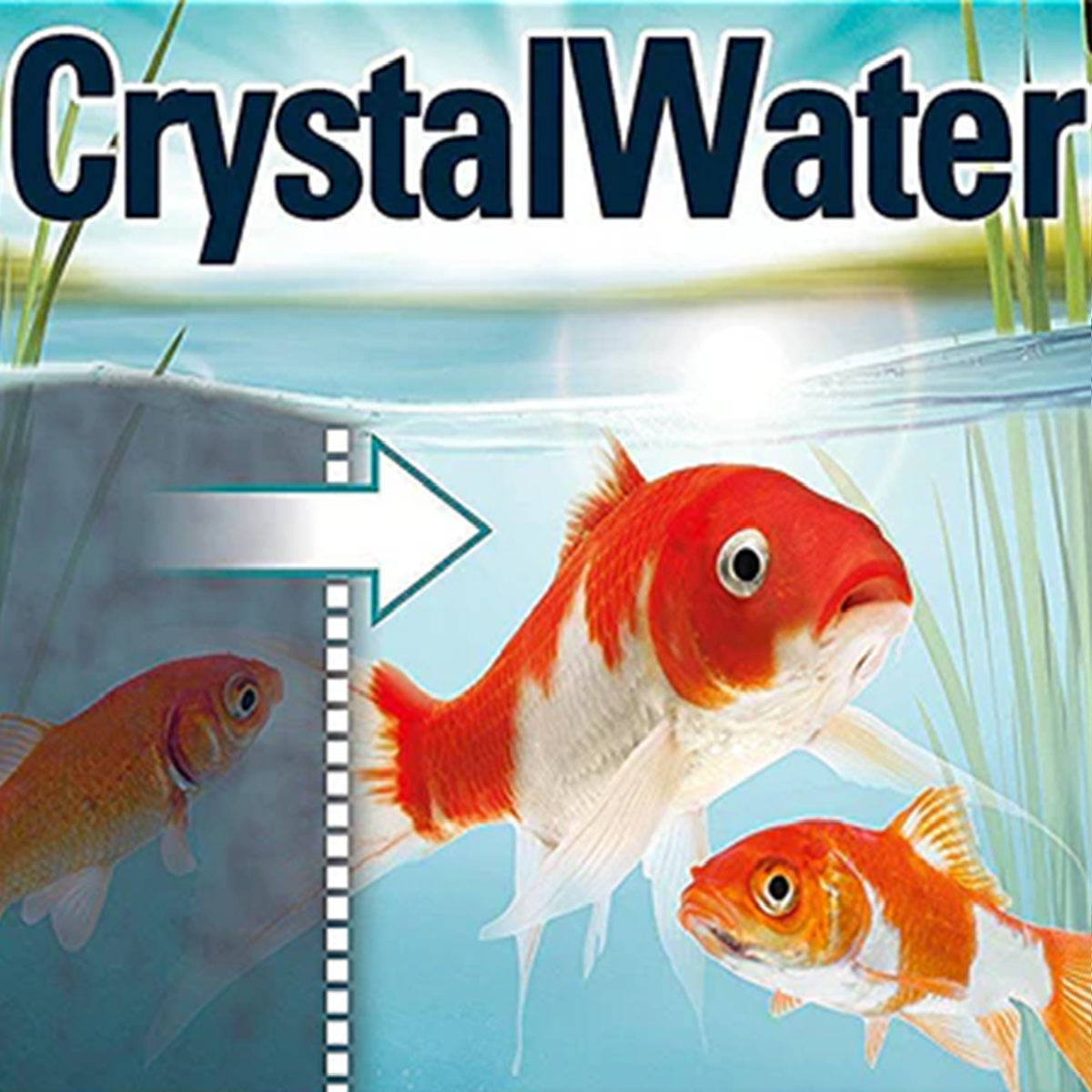 Tetra Pond - Crystal Water