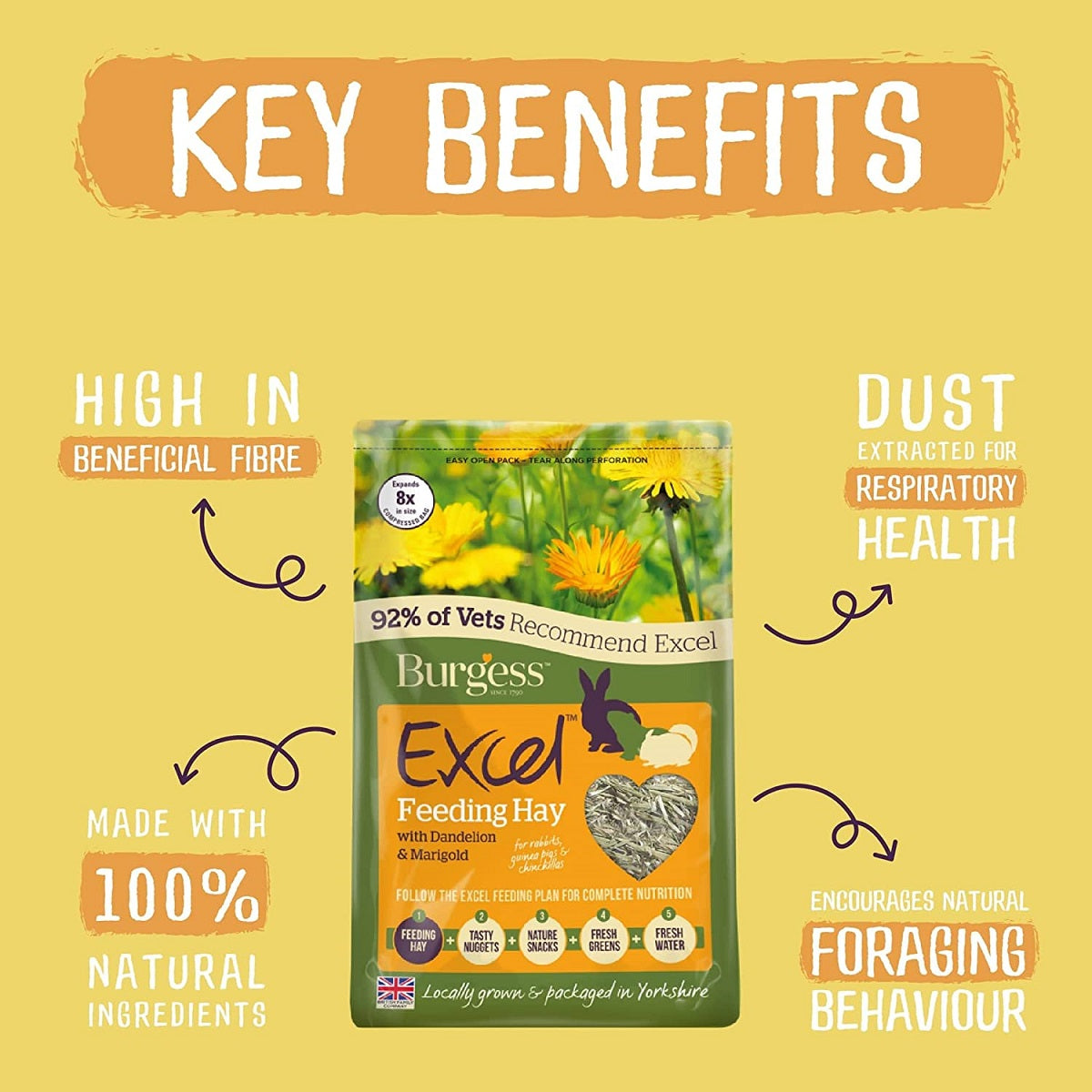 Excel - Dandelion and Marigold Feeding Hay
