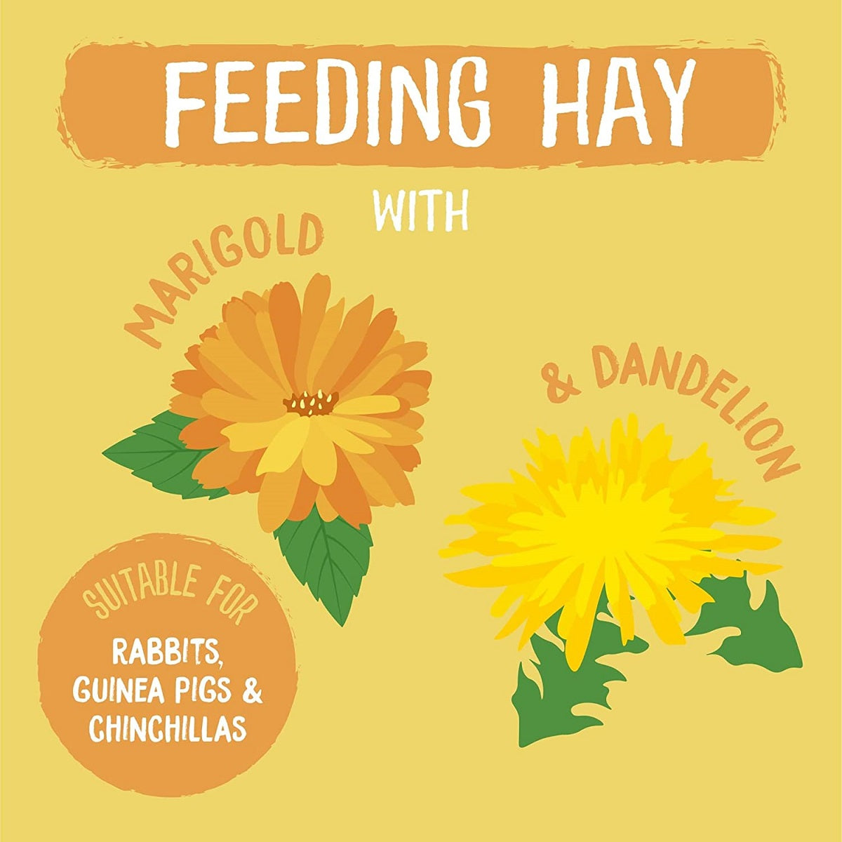 Excel - Dandelion and Marigold Feeding Hay
