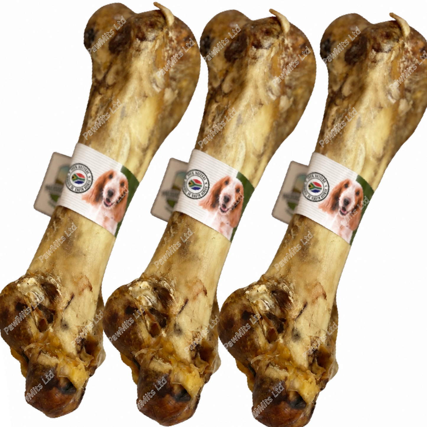 Paddock Farm - Ostrich Dino Bone
