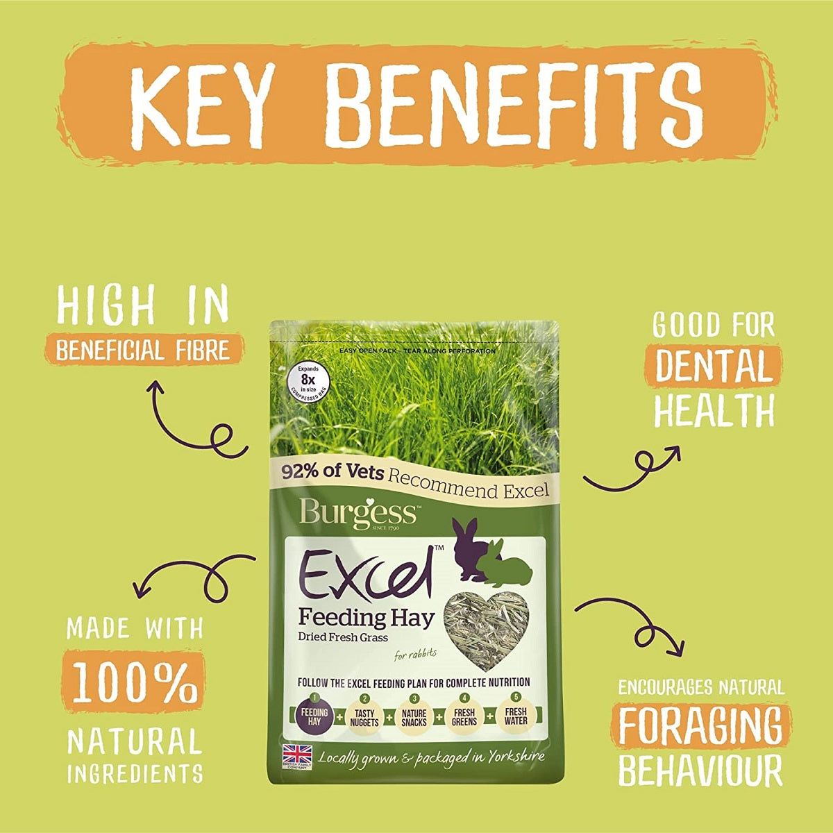 Excel - Feeding Hay 100% Timothy Hay