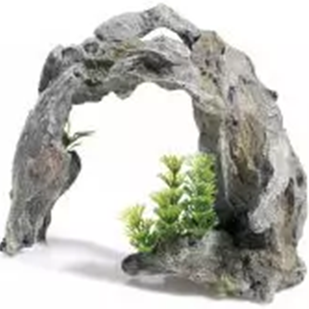 Classic - Driftwood Arch (24cm)
