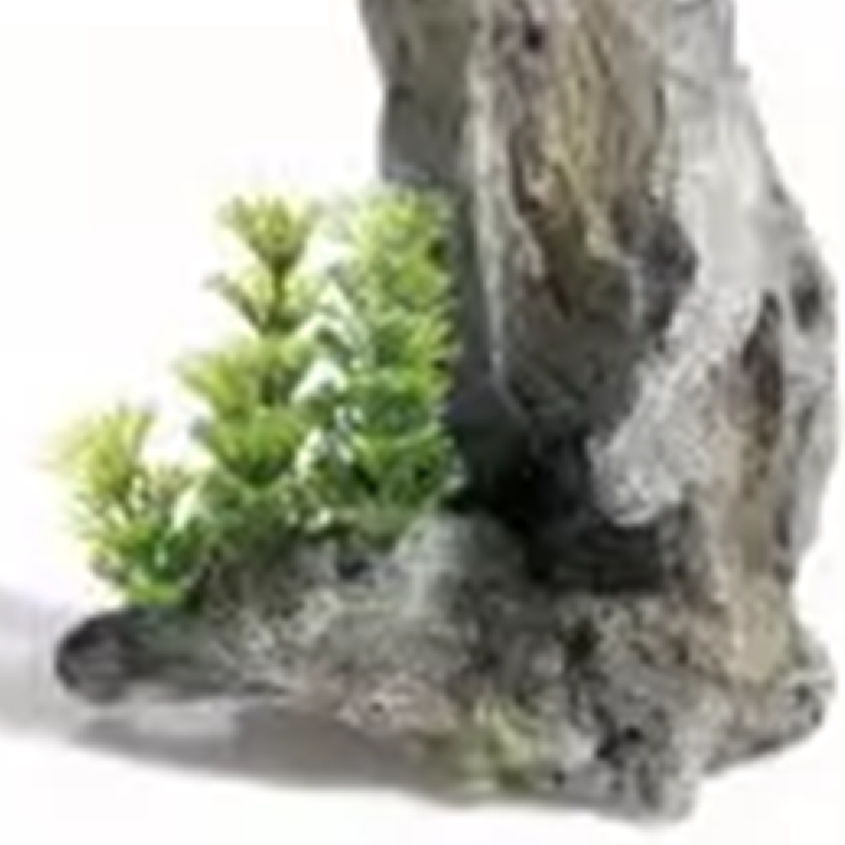 Classic - Driftwood Arch (24cm)