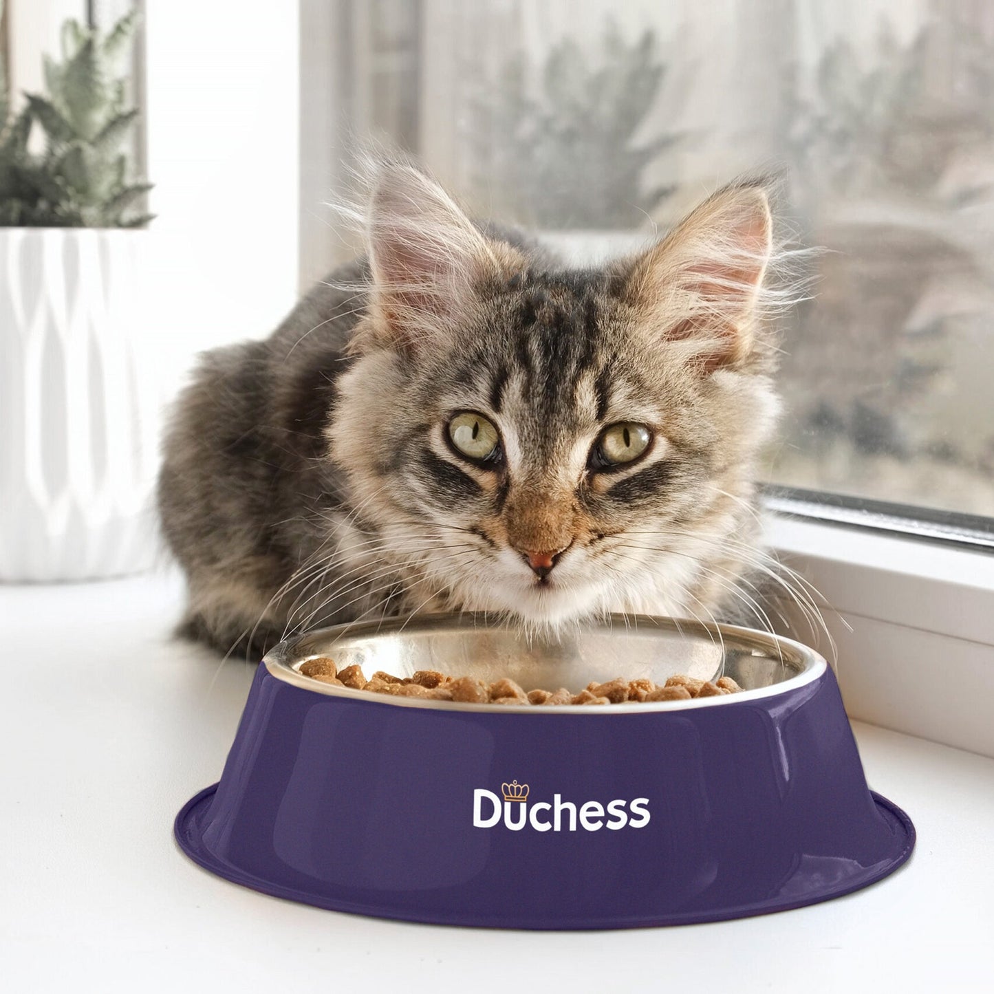 Duchess - Complete Cat Food (2kg)
