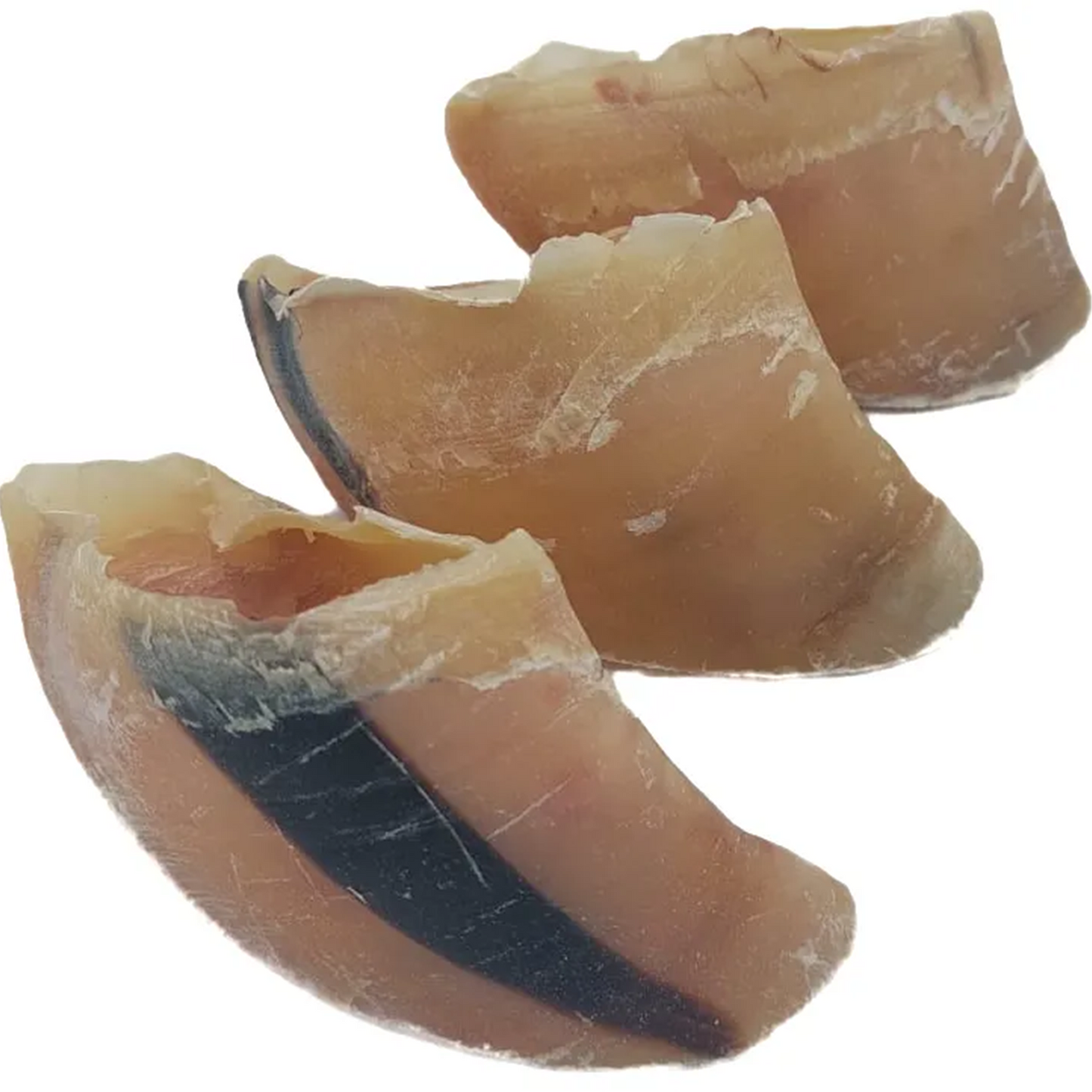 Paddock Farm - Empty Hooves