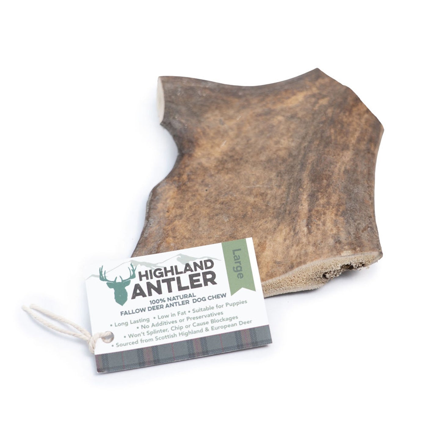 Highland Antler - Fallow