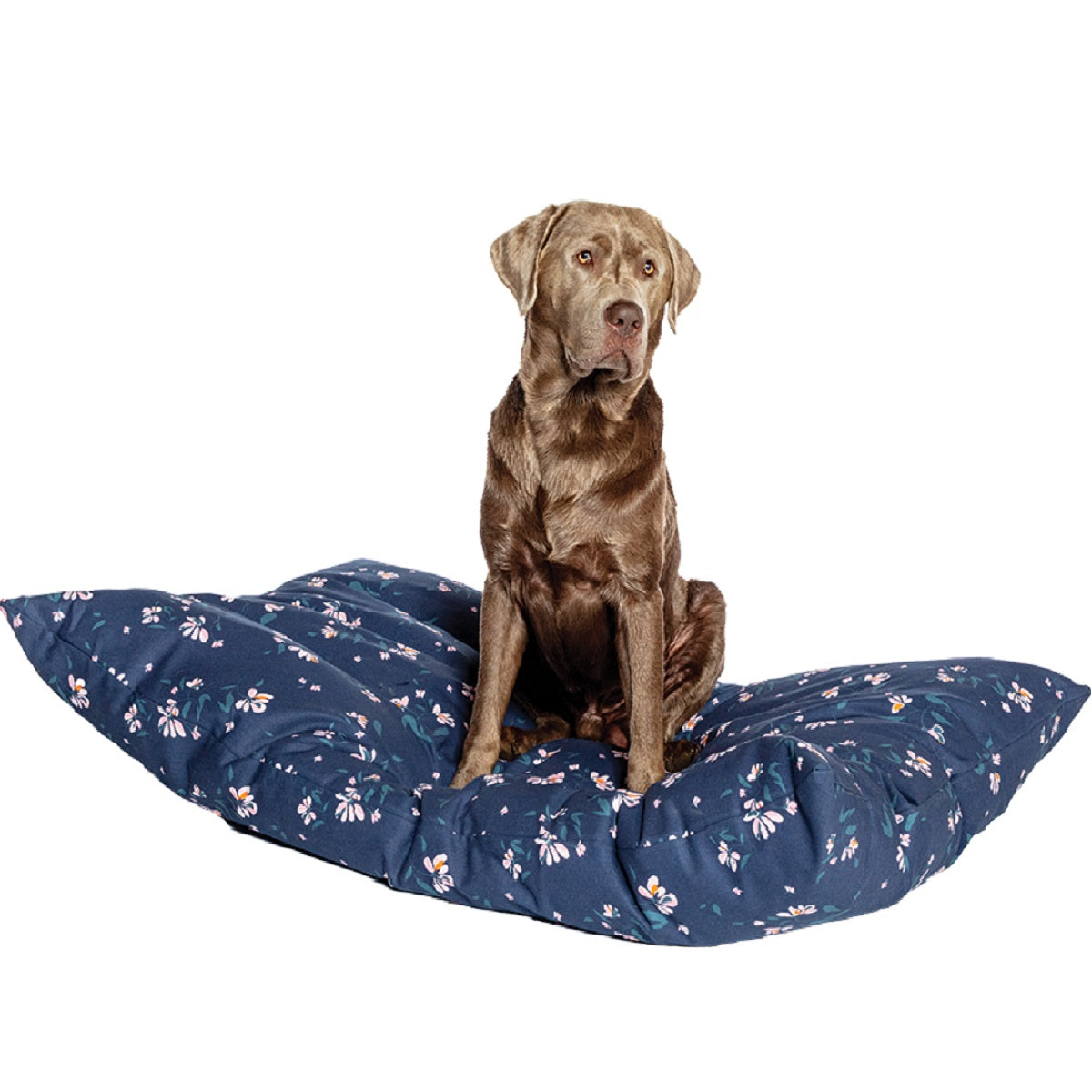 FATFACE - Brush Floral Deep Duvet