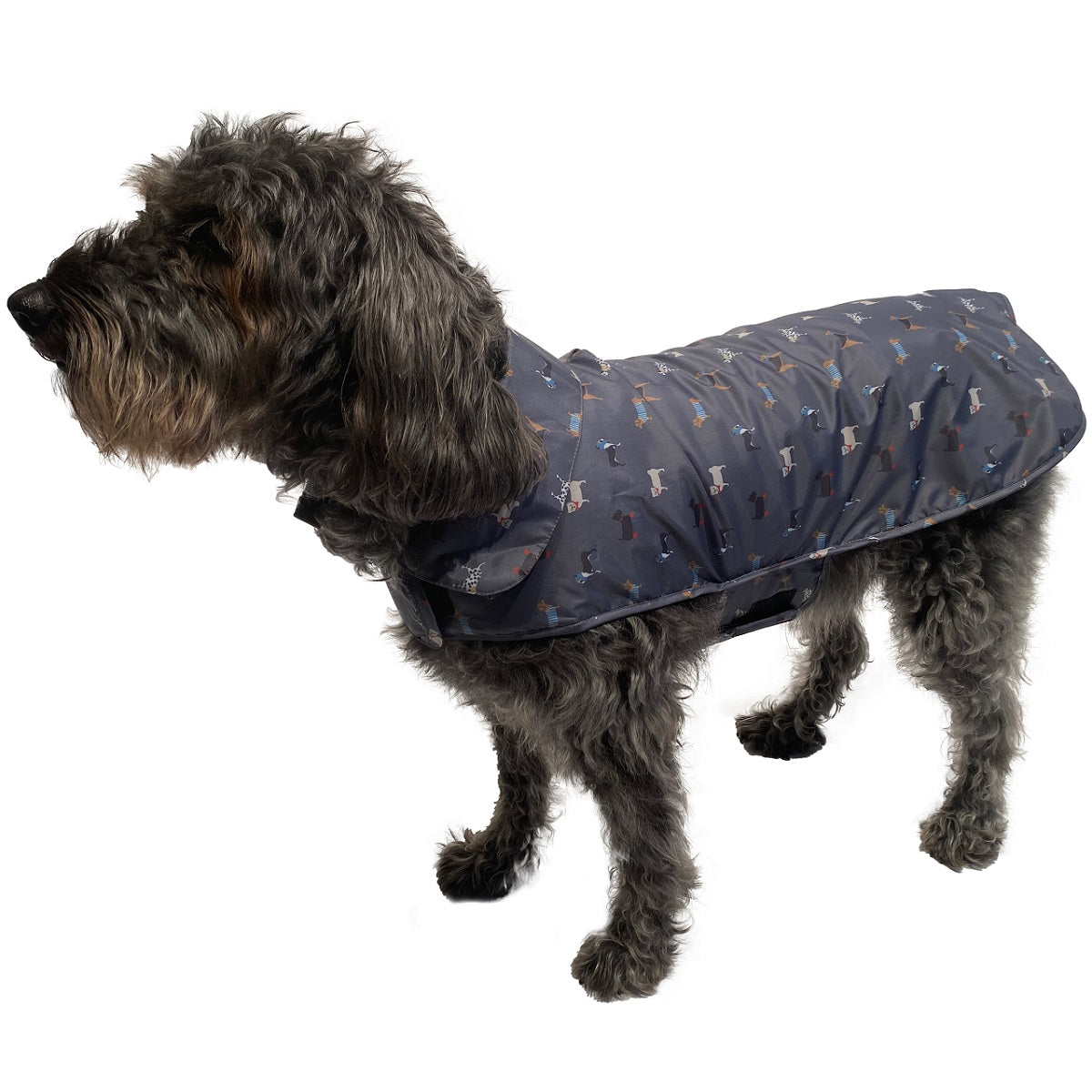 FATFACE - Marching Dogs Raincoat