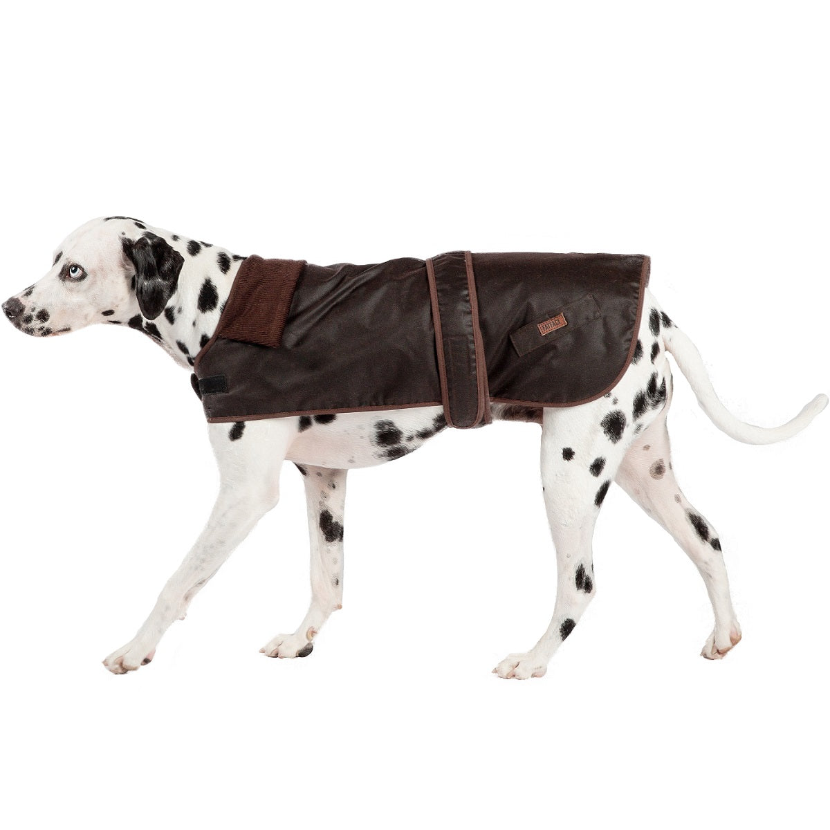 FATFACE - Sussex Wax Dog Coat