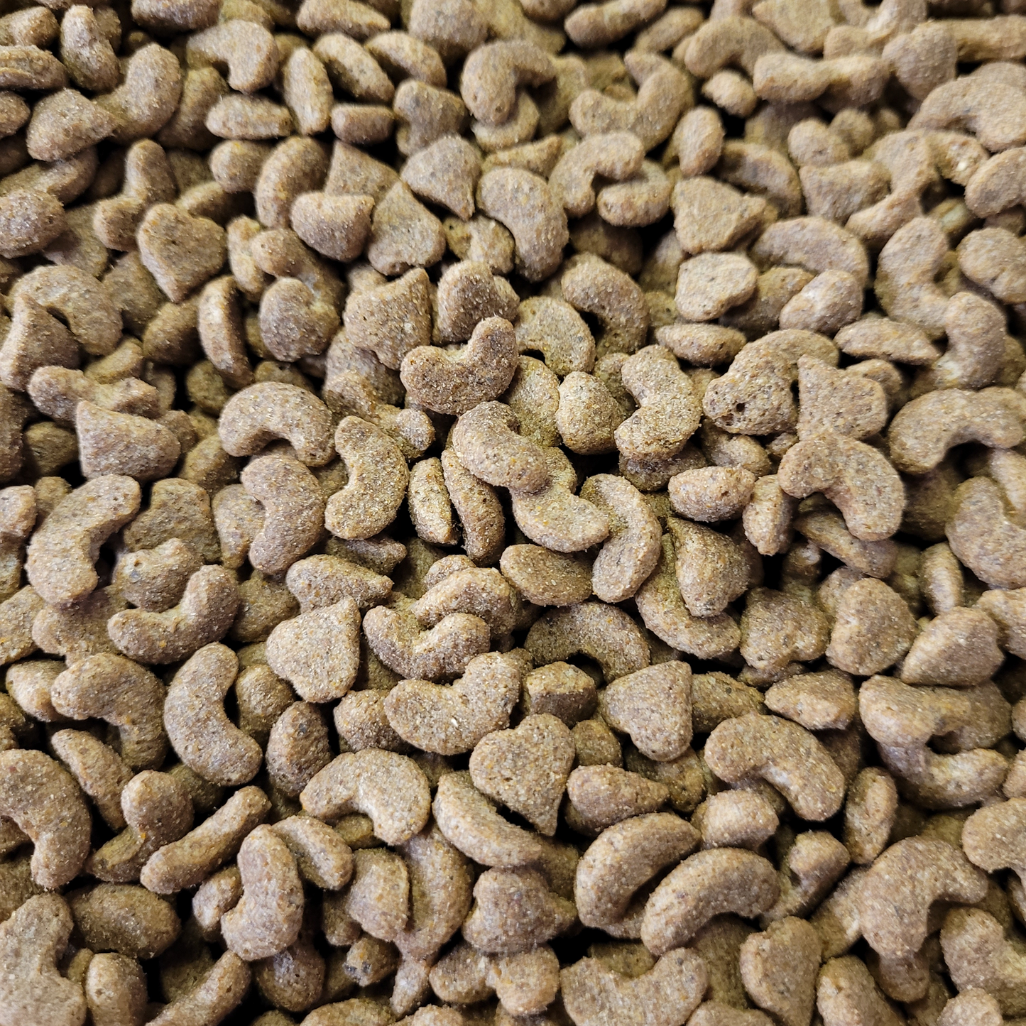 BestPets - Complete Fish Cat Food