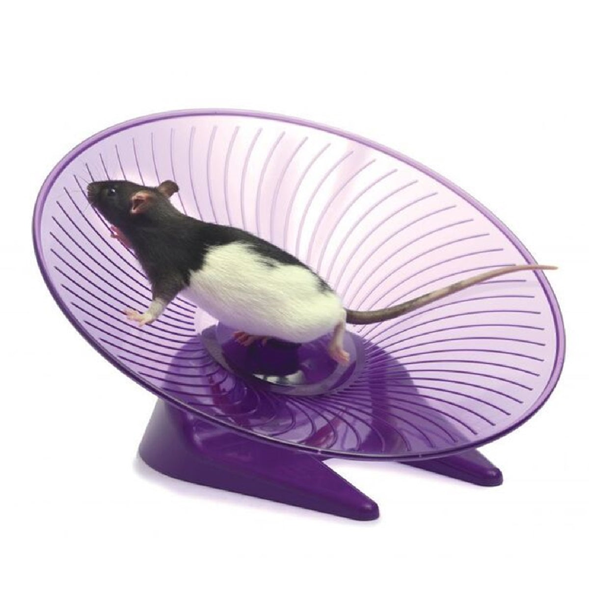 Sharples - Fly 'n' Saucer Wheel