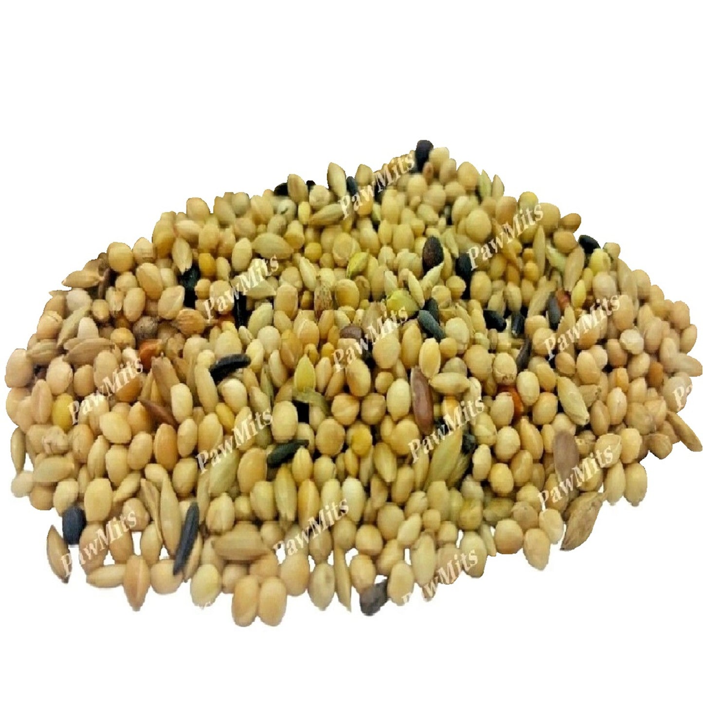 BestPets - Foreign Finch (20kg)