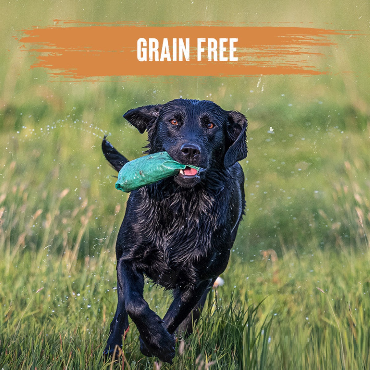 Alpha - Grain Free (15kg)