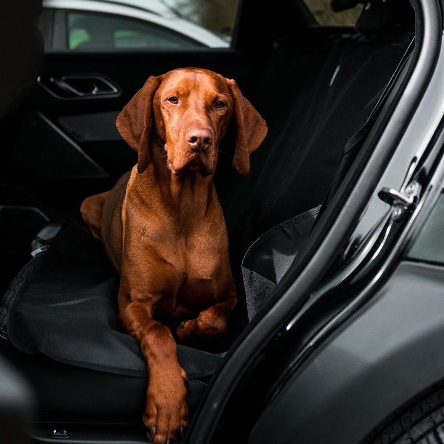 Danish Design - Car Seat Cover