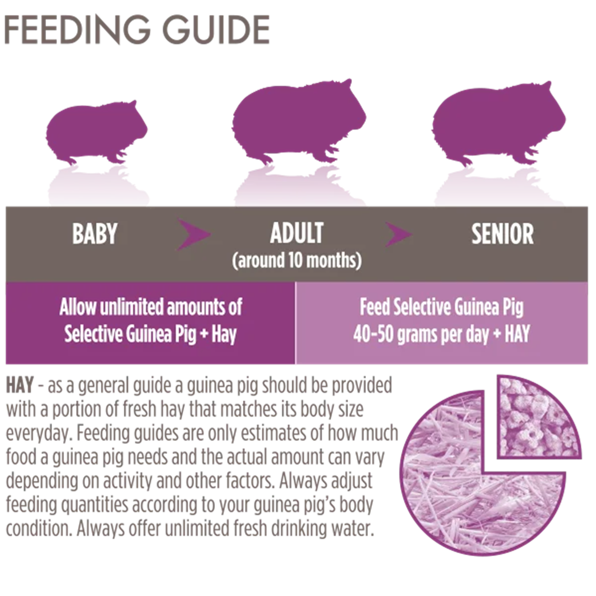 Science Selective - Balanced Guinea Pig Food