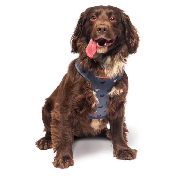 FATFACE - Marching Dogs Harness