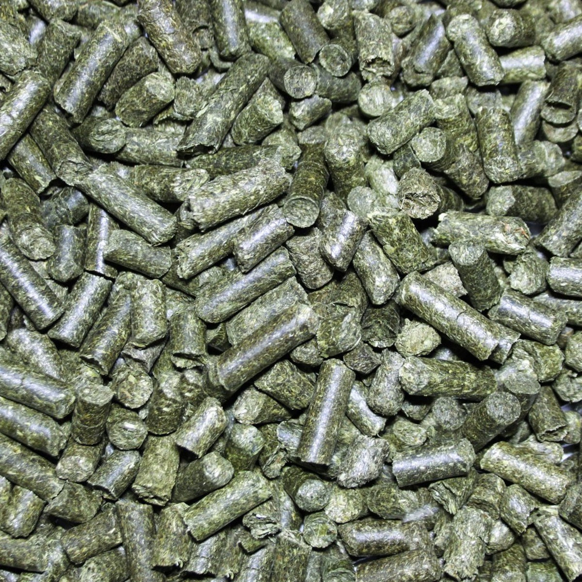 Pettex - Herbivore Reptile Substrate (10L)