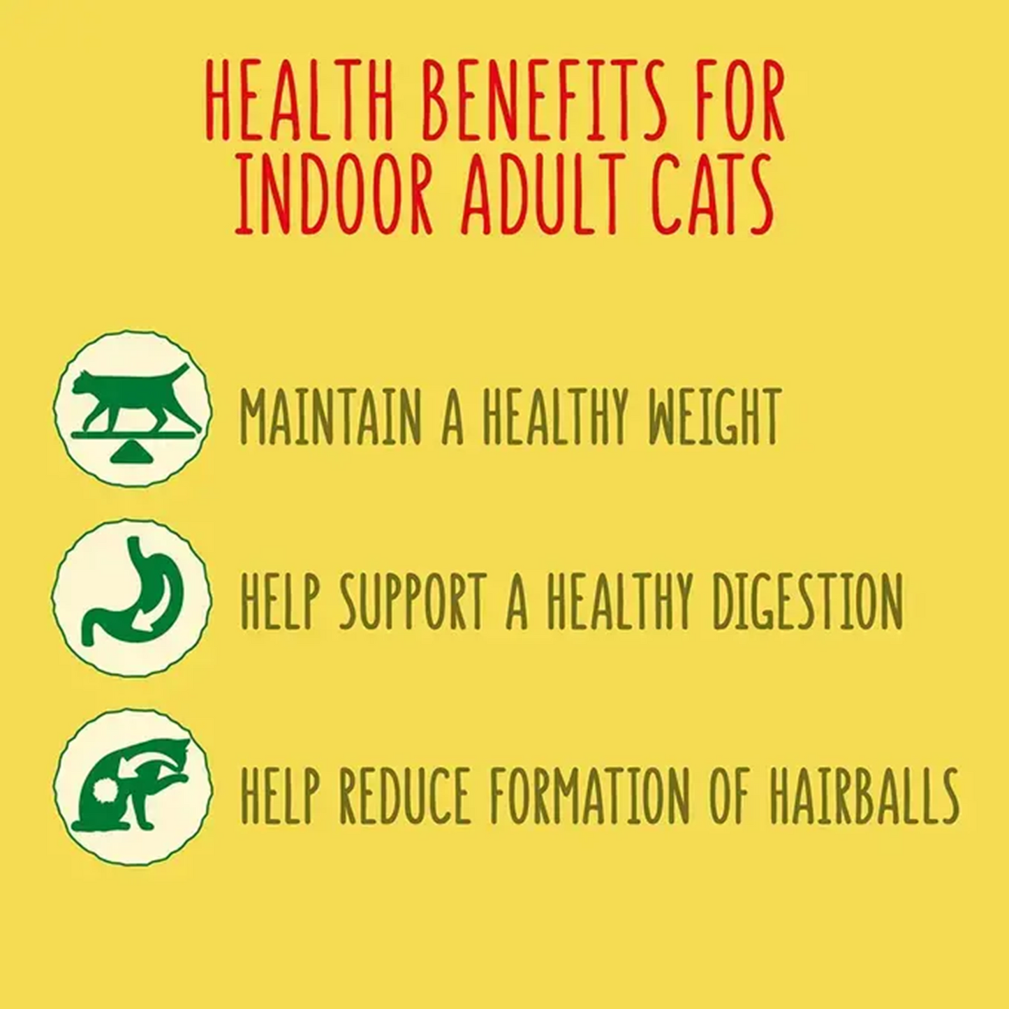 Go-Cat - Indoor 1+