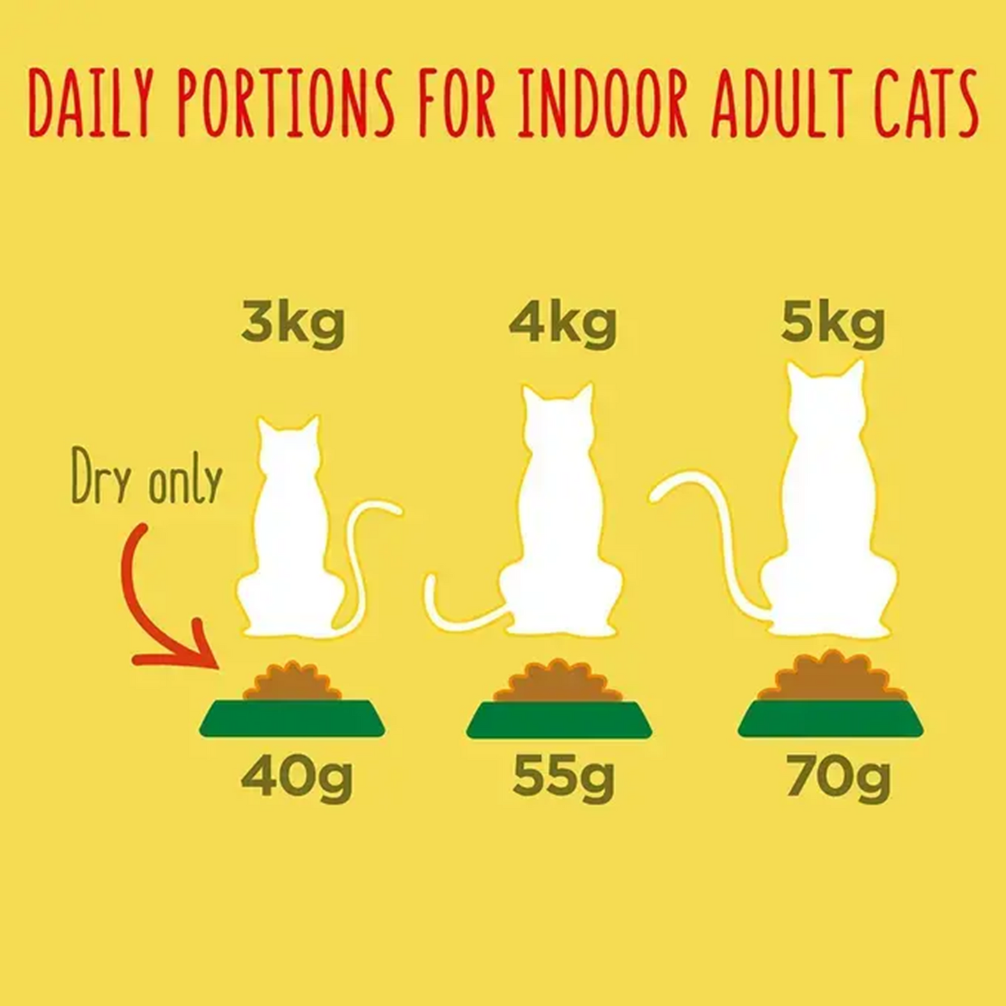 Go-Cat - Indoor 1+