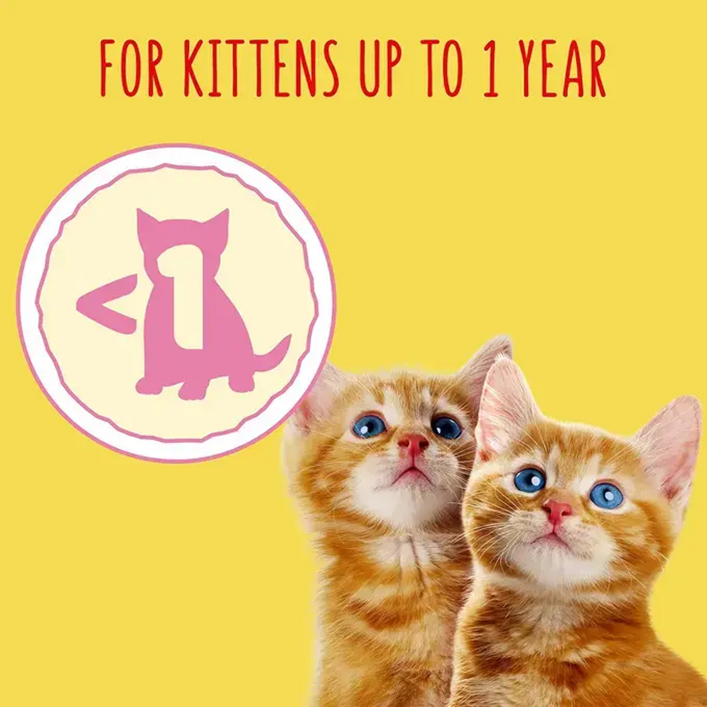Go-Cat - Kitten <1