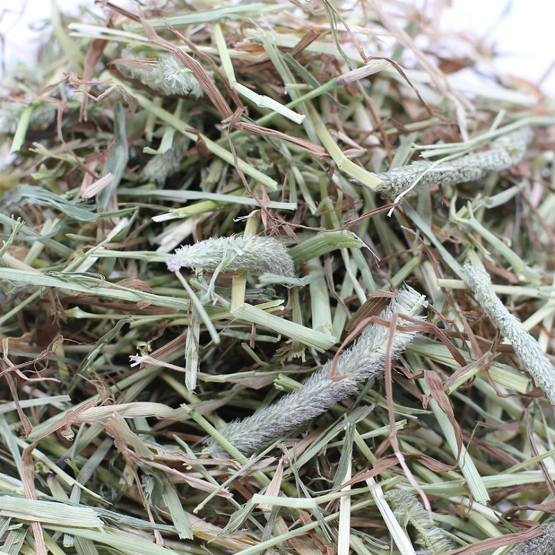 Excel - Long Stem Feeding Hay