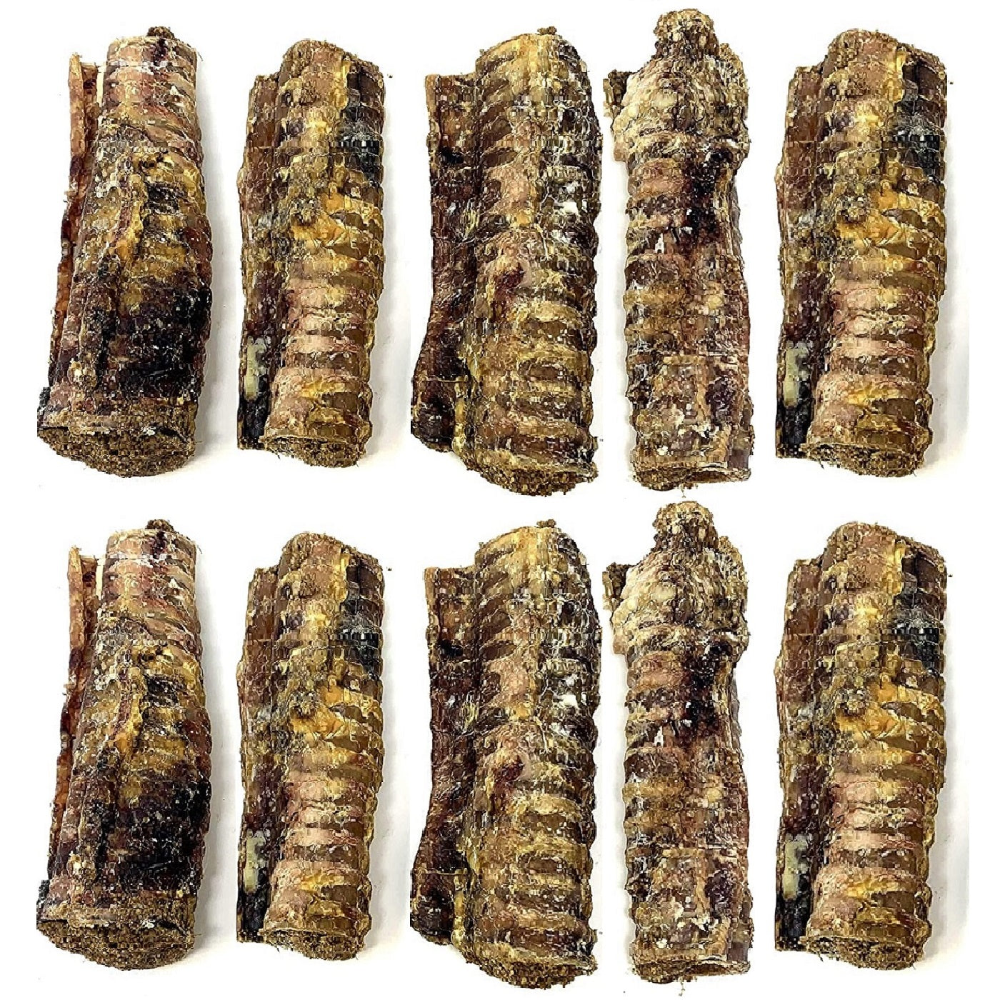 T.Forrest - Meat Filled Small Trachea