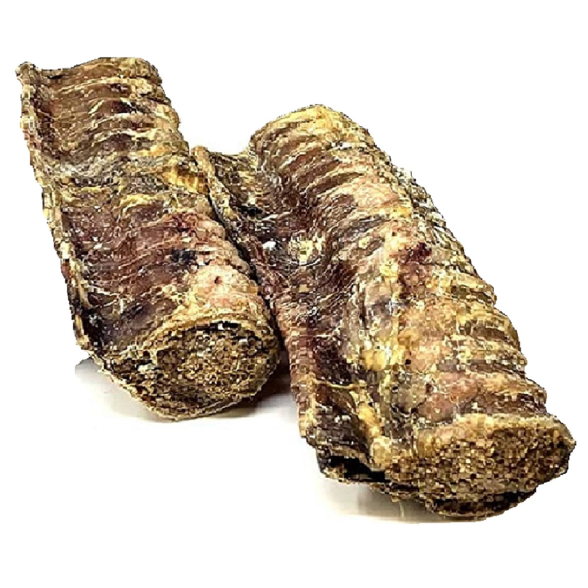 T.Forrest - Meat Filled Small Trachea
