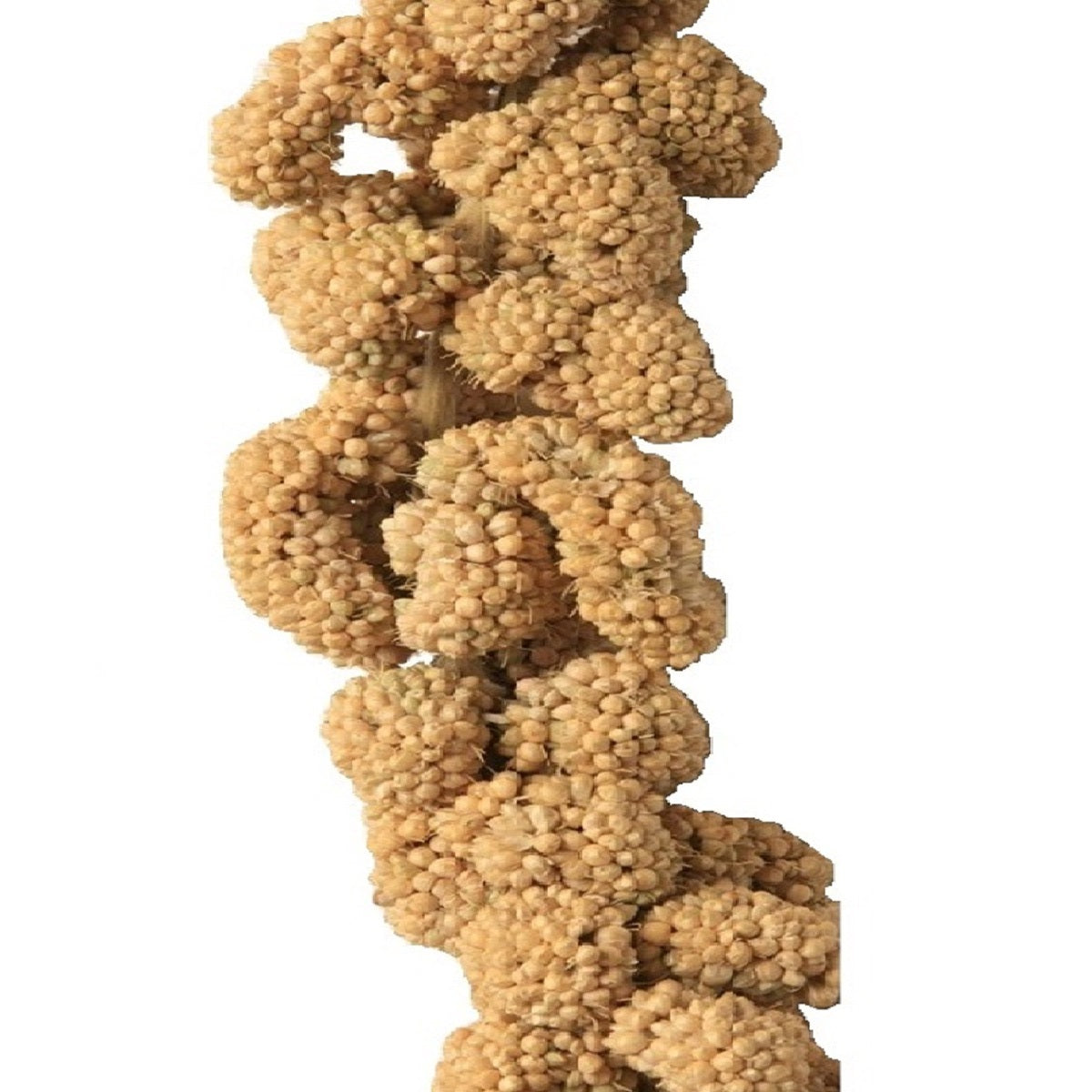 Bucktons - Millet Sprays (15kg)