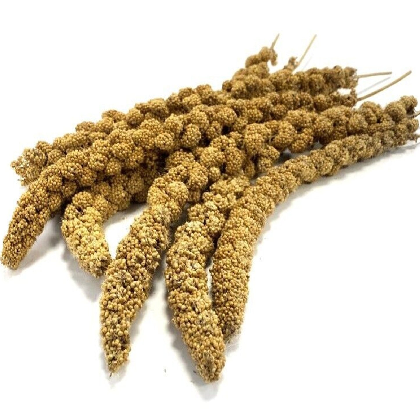 Bucktons - Millet Sprays (15kg)