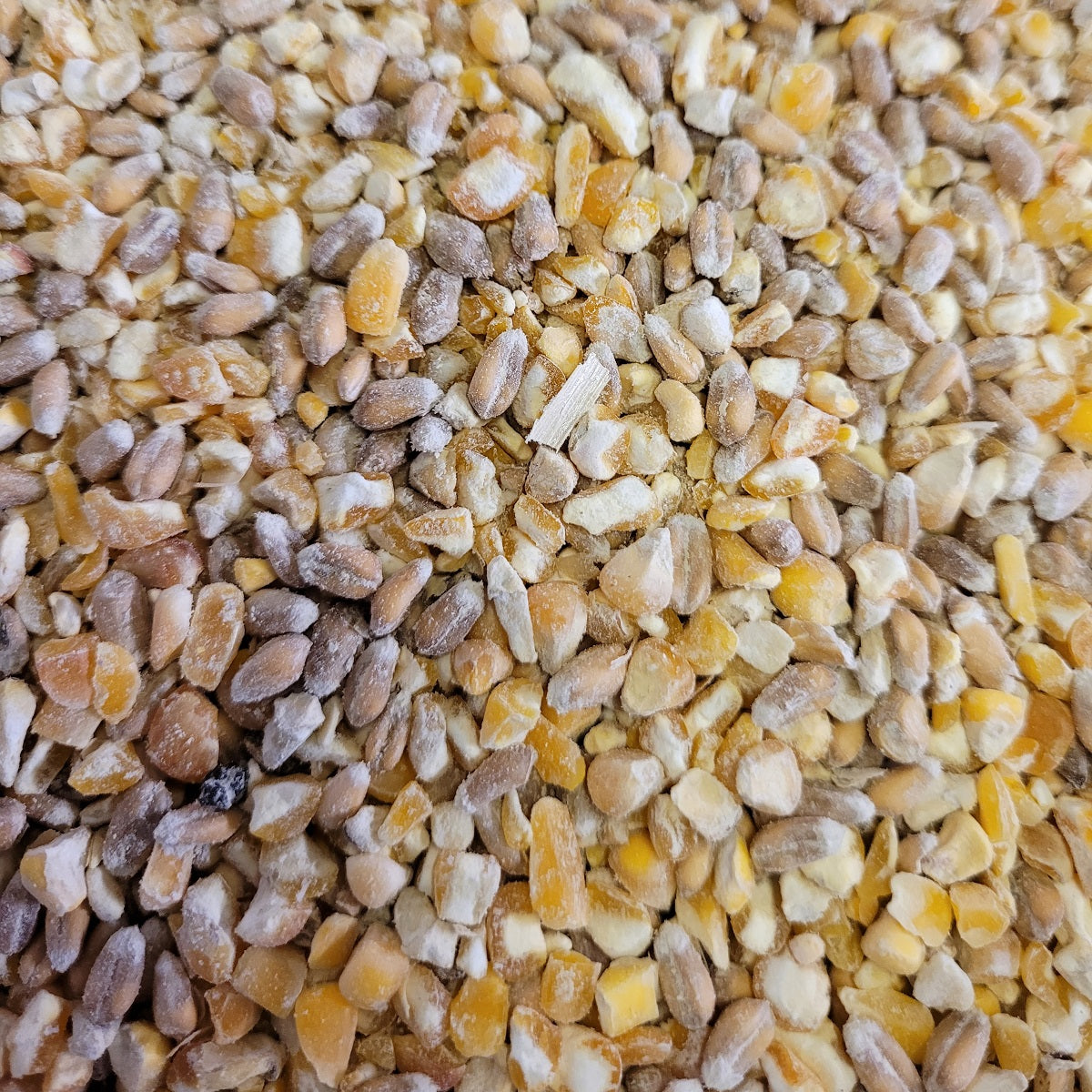 Argo - Mixed Poultry Corn
