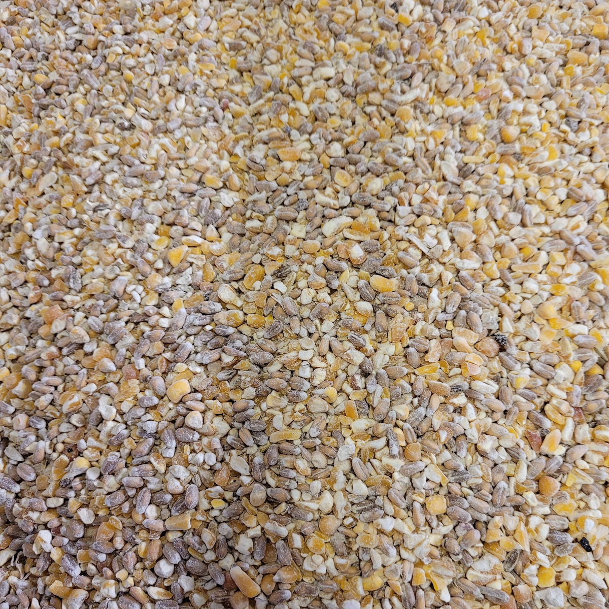 Mixed Corn