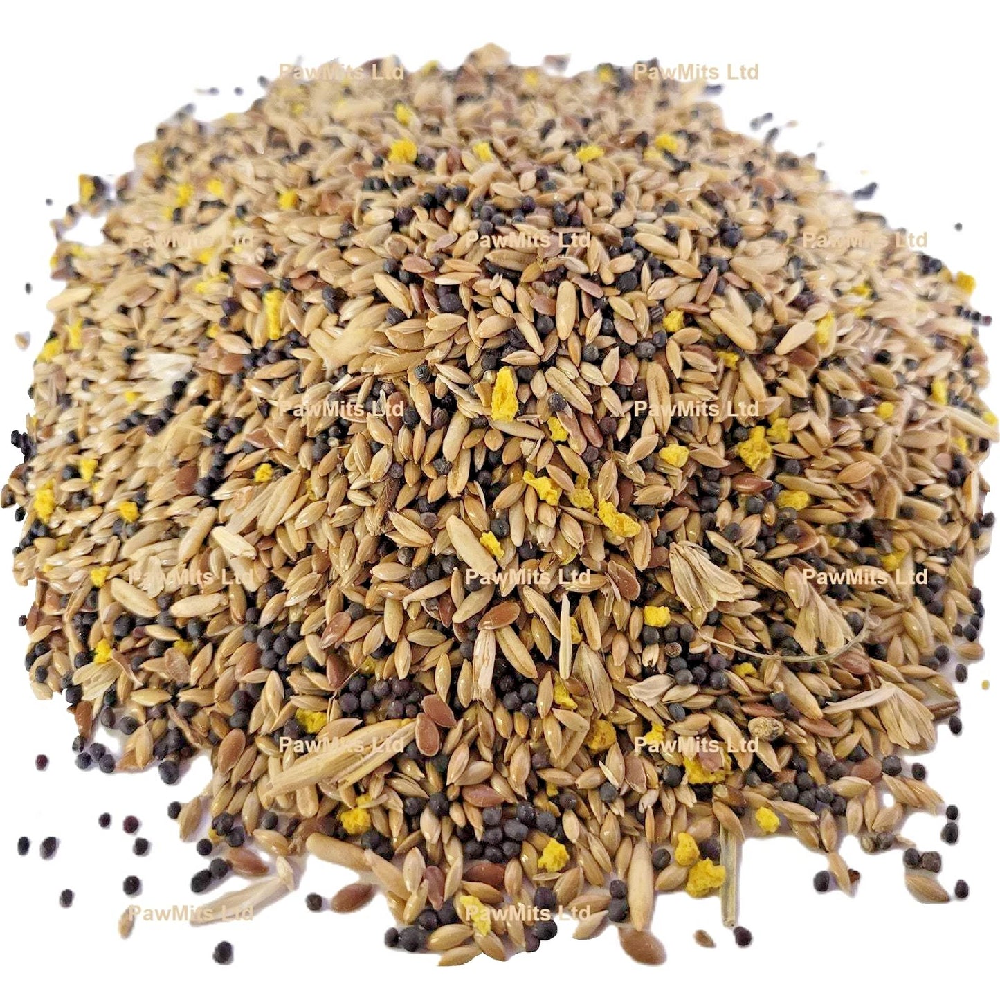 Mixed Canary No.2