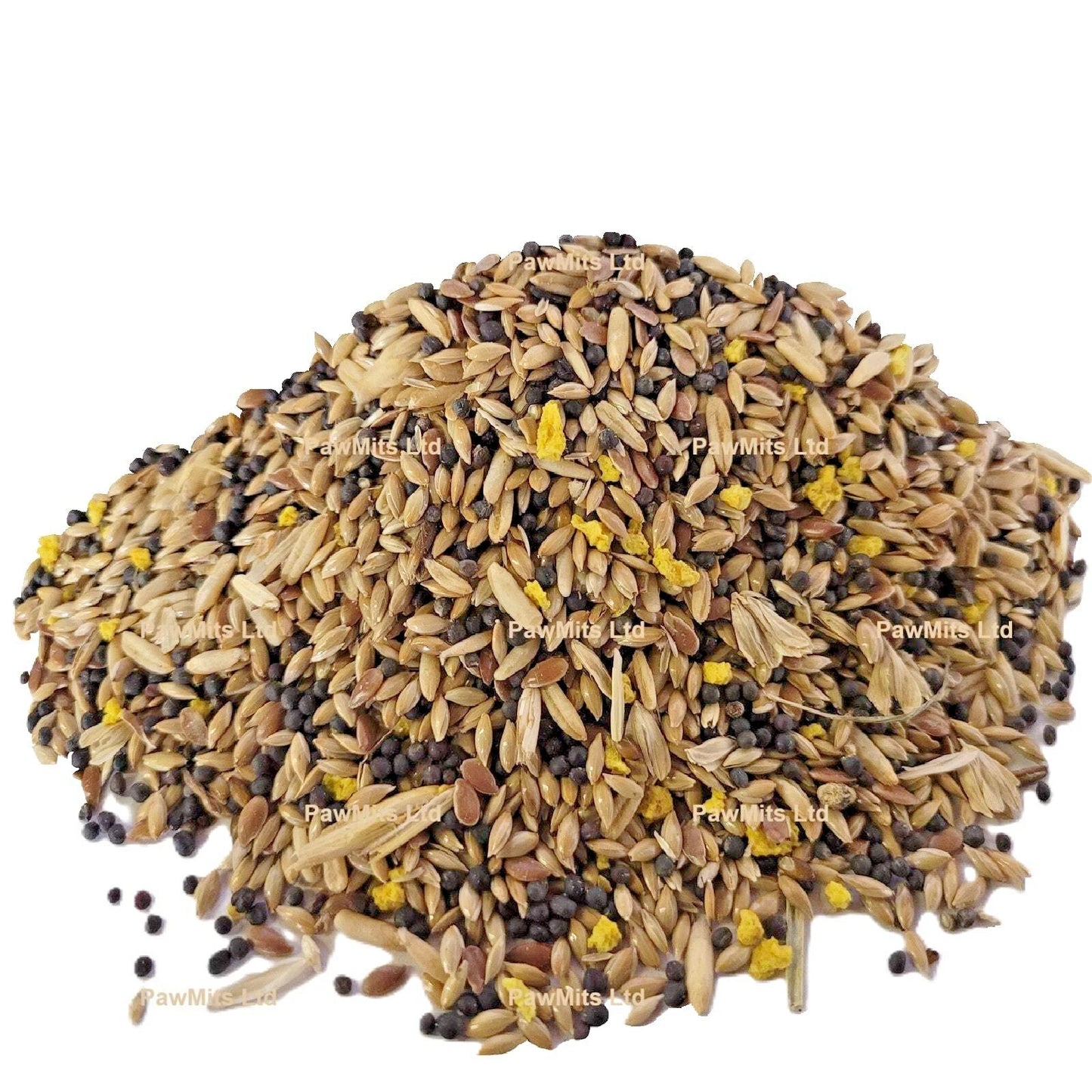 Mixed Canary No.2
