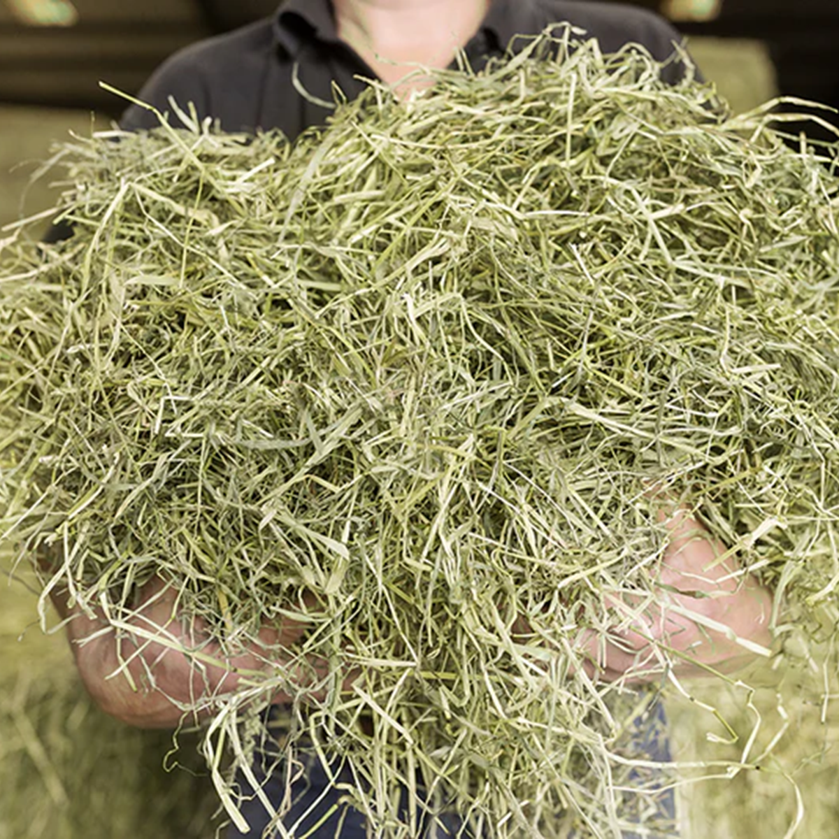 Newhay - Dandelion & Nettle Timothy Hay (1kg)