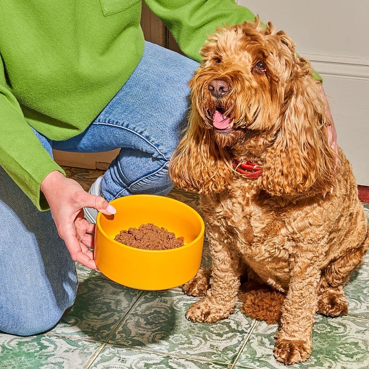 Nutriment - Gently Steamed Dog Food (8 x 385g)
